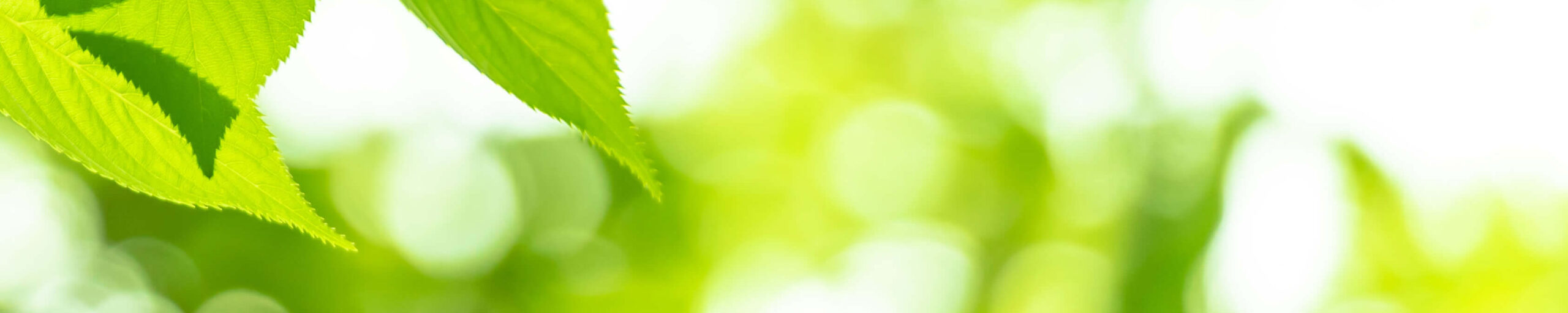 「こり」の原因徹底追及