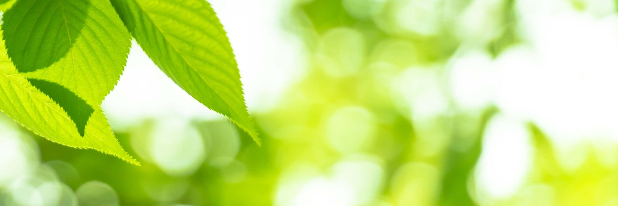 戸部駅・平沼橋駅リラクゼーションサロン ララワン | 横浜駅エリア